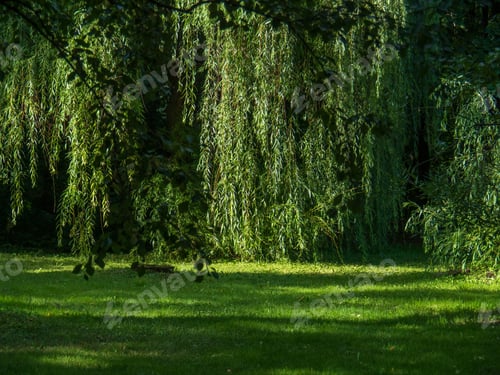 Preview: a beautiful park on a summer day is a place to relax and walk