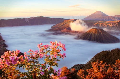 Preview: Gorgeous landscape of volcano mountains peacks higher than clouds in pink glowing at sunrise