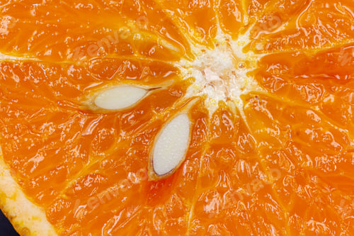 Preview: Oranges on a black background. One orange is cut in half, the other is whole.