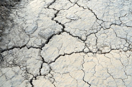 Preview: Texture of the crackled dirty clay in desert