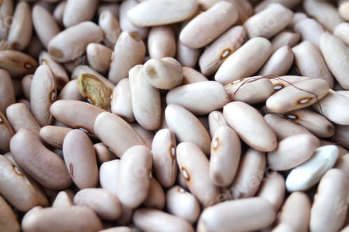 Preview: white beans background. Background of many grains of dried beans. Brown beans texture. Food backgrou