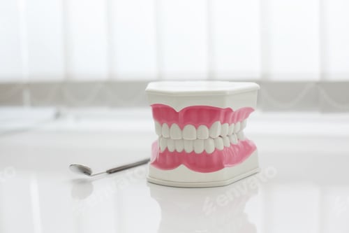 Preview: Model of artificial jaw on the table in the dental office