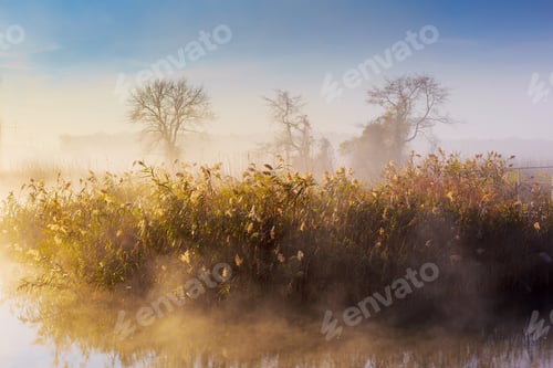Preview: Foggy landscape: early morning on the river in the spring