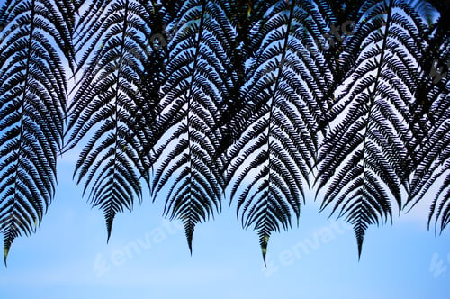 Preview: Fern leaves on a blue background