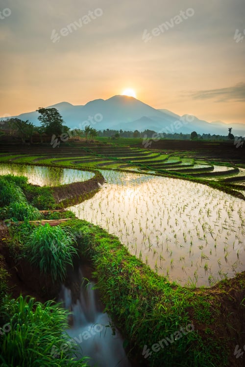 Preview: Beautiful morning view indonesia, Panorama Landscape paddy fields with beauty color and sky natural