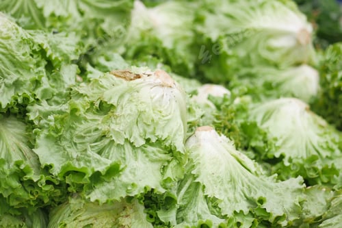 Preview: green lettuce leaves on a chopping board on table