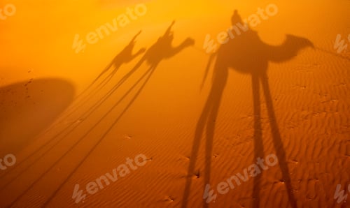 Preview: Shadow of a caravan on sand dunes