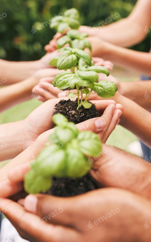 Preview: A row of hands holding plants outside in nature. Organised hands holding soil and growing plants. A