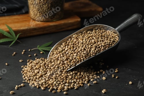 Preview: Raw organic hemp seeds in scoop on black table