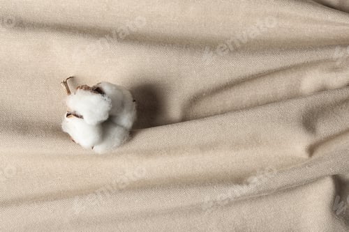 Preview: Fluffy cotton flower on fabric, above view. Space for text