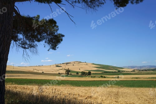 Preview: Landscape along the road from Termoli to Serracapriola, Southern Italy