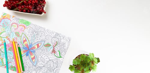 Preview: Creative Mandala Coloring Book with Pencils and house plant
