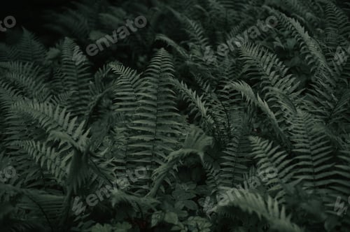 Preview: Green green