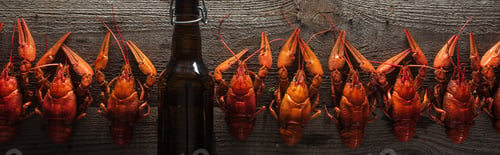 Preview: panoramic shot of red lobsters and glass bottle with beer on wooden surface