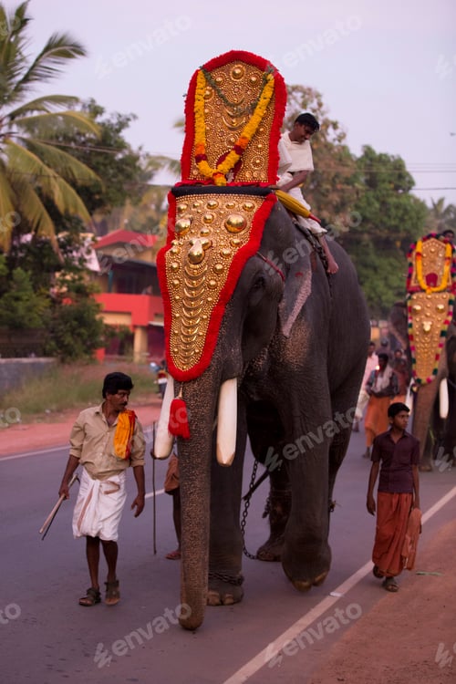 Preview: A young boy rides a festively adorned elephant in a vibrant street procession.