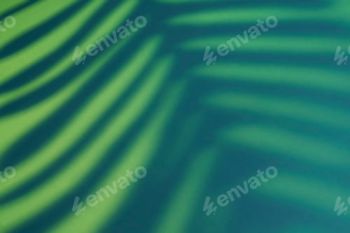 Preview: Beautiful fern leaves yellow and green shadow colored background in artificial light