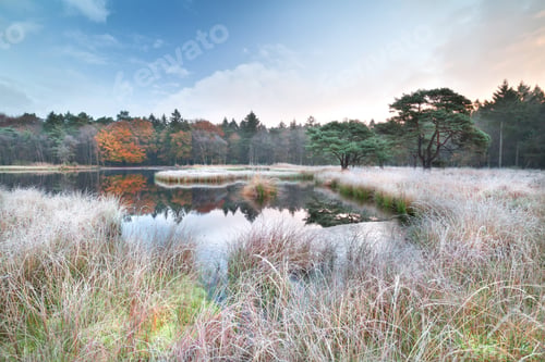 Preview: sunrise over lake and frosted grass