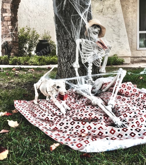 Preview: Halloween picnic with the Skeletons