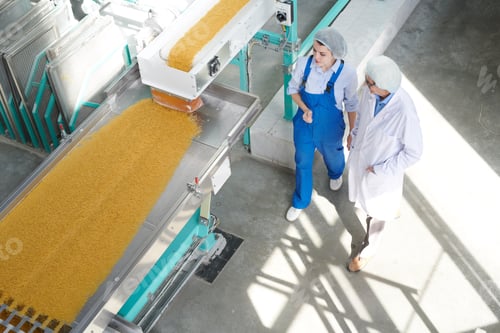 Preview: Two Workers at Food Factory Background