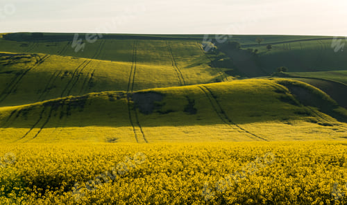 Preview: South Moravia landscape and farmland