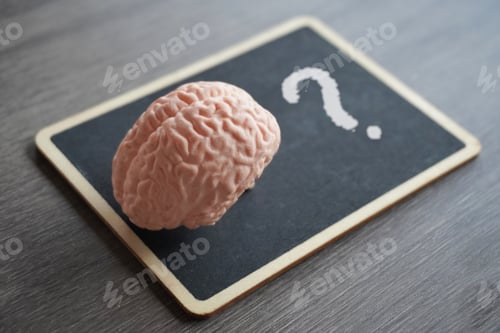 Preview: Human brain model on top of a blackboard with a question mark.