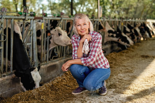 Preview: Woman Farmer Is Working On Farm Cows