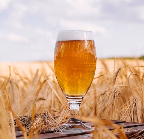 Preview: a glass of beer in a wheat field