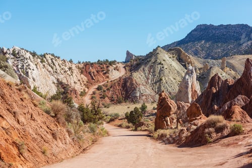 Preview: Cottonwood road