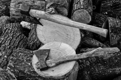 Preview: Two axes in stumps background chopped firewood. Black and white photo