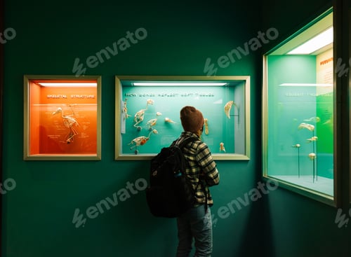 Preview: Checking out skeletons and bones in.a museum.