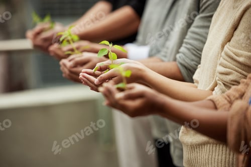 Preview: Closeup shot of a group of unrecognisable people holding plants growing in soil