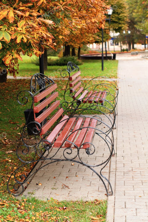 Preview: Autumn park bench and landscape with bright colorful leaves. Fall leaves background. Top view.