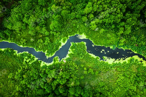 Preview: Marshland and river in spring. Aerial view of wildlife, Poland.