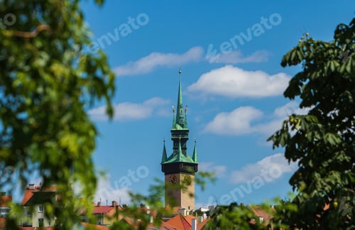 Preview: Historic clock tower framed by trees under blue sky.