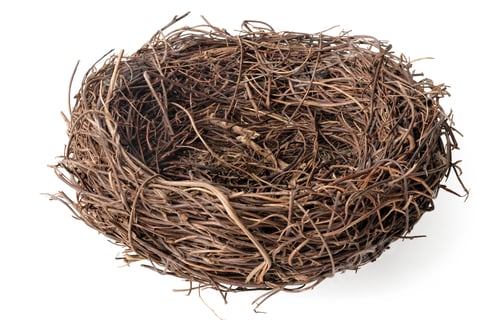 Preview: Empty birds nest