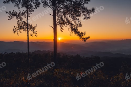 Preview: In the forest at dusk and evening light