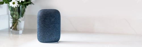 Preview: Voice controlled smart speaker