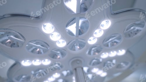 Preview: A bright flower-shaped lamp. Action. A glowing bright chandelier in the shape of a mysterious flower