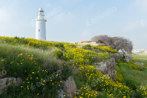 Preview: Spring background with beautiful yellow flowers