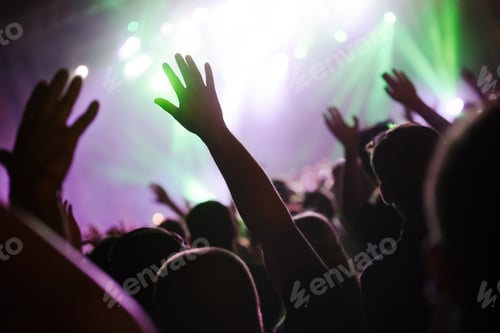 Preview: Picture of party people at music festival