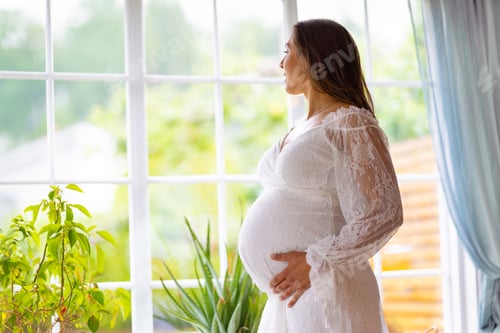 Preview: Expectant Mother Embracing Her Belly by a Sunny Window