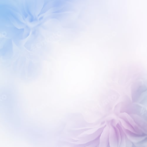 Preview: Sweet Color Roses In Soft Color And Blur Style For Background