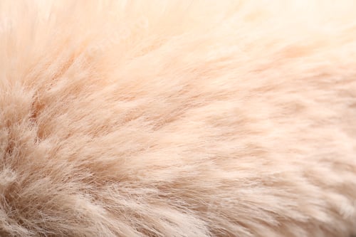 Preview: Texture of faux fur as background, closeup