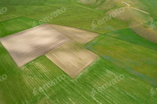 Preview: The geographical composition of the cultivated fields