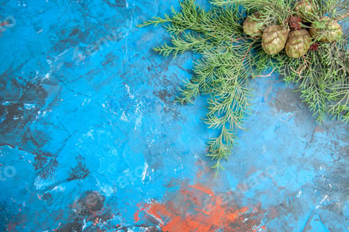 Preview: top view cypress tree branches on blue background free space