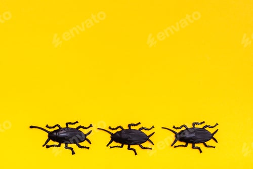 Preview: Black plastic cockroaches on a yellow cardboard background. Ready Halloween illustration. Copy space