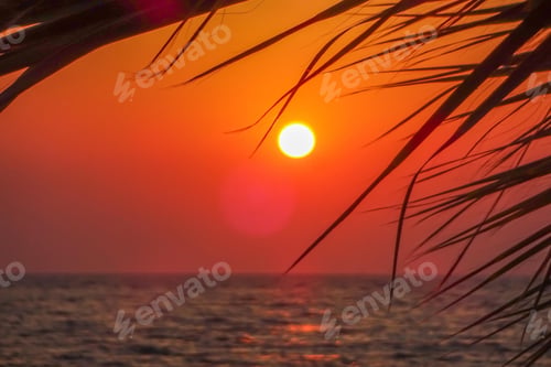 Preview: seascape, landscaped, beach, sunset, sunlight