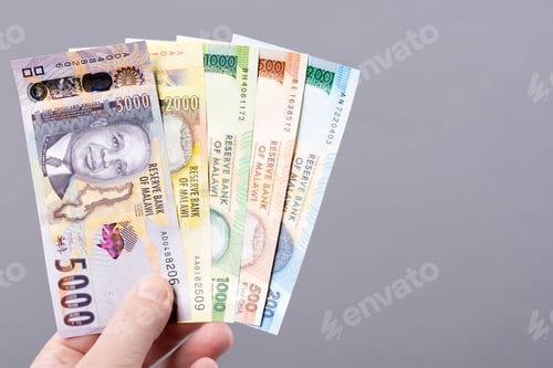 Preview: Malawian money on gray background