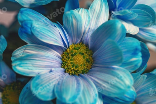 Preview: Vibrant blue flower with a yellow center, showcasing intricate petal details and rich colors.