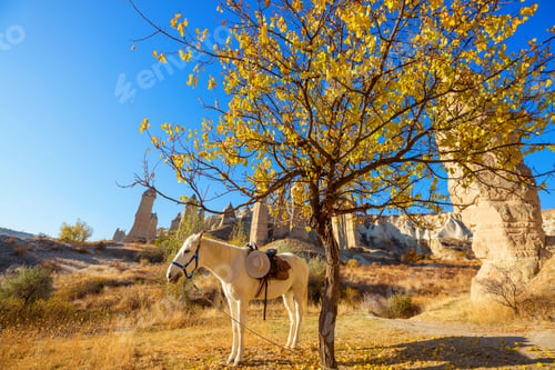 Preview: Horse in Cappadocia